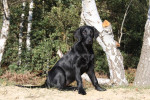Lexy eind oktober 2011